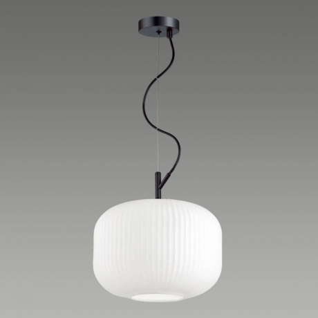 Подвесной светильник Odeon Light Roofi 4754/1 