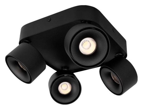 Спот Loft it Case 10326 Black 