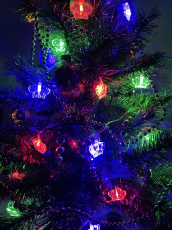 3м. Гирлянда LED нить Короны Эра 220V RGB K (182761)