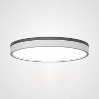 Потолочный светильник Kier D50 White ImperiumLoft KIER01 (181020-26)