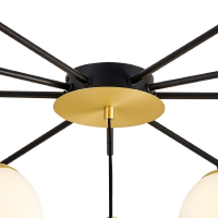 Потолочная люстра Favourite Paramount с поддержкой Алиса 3047-10P-A