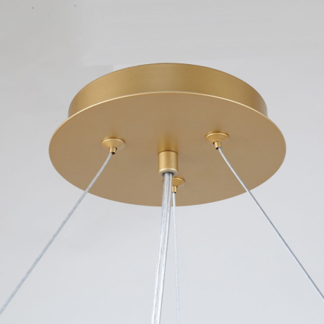 Подвесная люстра Favourite Ginkoa 4080-10P 