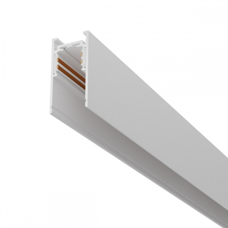 2м. Шинопровод магнитный Maytoni Technicall Exility Busbar trunkings TRX034-412W 