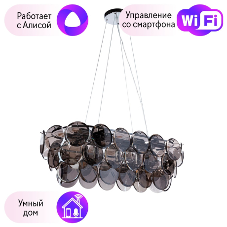 Люстра подвесная Divinare CHLOE с поддержкой Алиса 7566/02 SP-13-A 