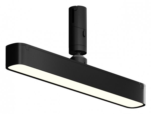 Светильник на штанге Maytoni Technical Basis Rot TR202-1-10W3K-B 