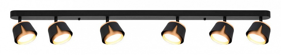 Спот Arte Lamp Amaks A8028PL-6BK 