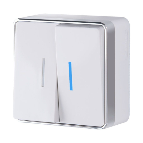 Выключатель двухклавишный с подсветкой Werkel Gallant (белая) W5020101