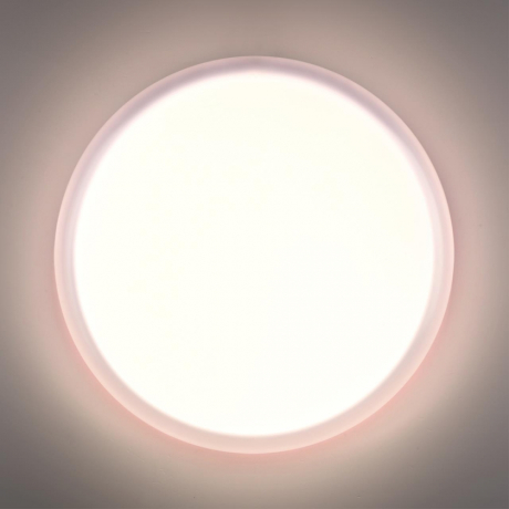 Накладной светильник Sonex JOLLY 7776/DLN