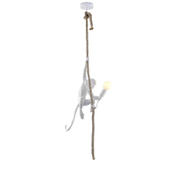 Светильник подвесной с лампочкой APLOYT APL.309.06.01+Lamps