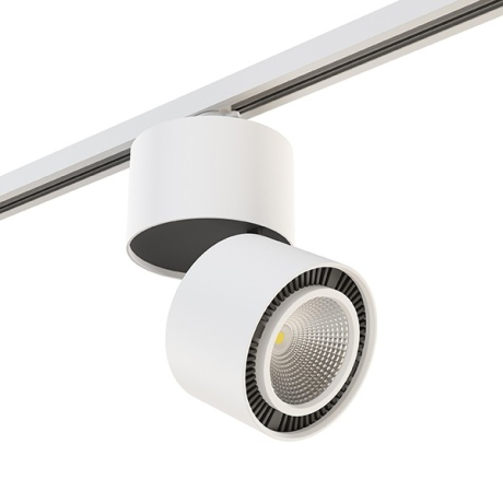 Накладной светильник Lightstar Forte Muro A1T214816 