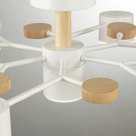 Потолочный светильник Lumion Rondo Comfi 8195/7C 