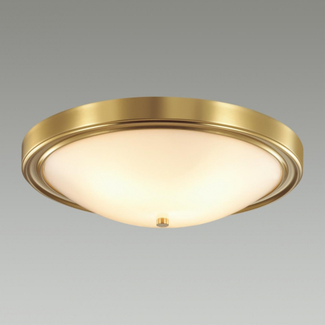 Накладной светильник Lumion Nina 5259/4C 