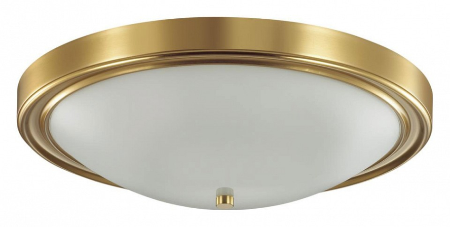 Накладной светильник Lumion Nina 5259/4C 