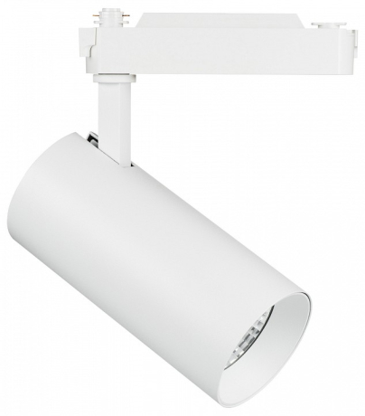 Светильник на штанге Lightstar Fuoco 218246 