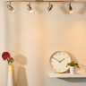 Спот Lucide Caro Led 13955/20/12 