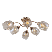 Потолочная люстра Lussole Lgo Cochise LSP-8086