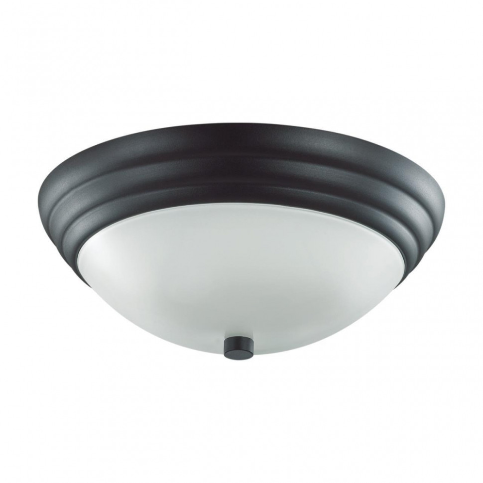 Настенно-потолочный светильник Lumion Kayla с лампочками 5263/2C+Lamps E27 P45, цвет черный 5263/2C+Lamps E27 P45 - фото 2