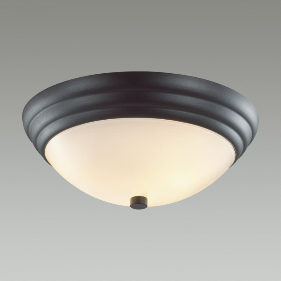 Настенно-потолочный светильник Lumion Kayla с лампочками 5263/2C+Lamps E27 P45, цвет черный 5263/2C+Lamps E27 P45 - фото 3