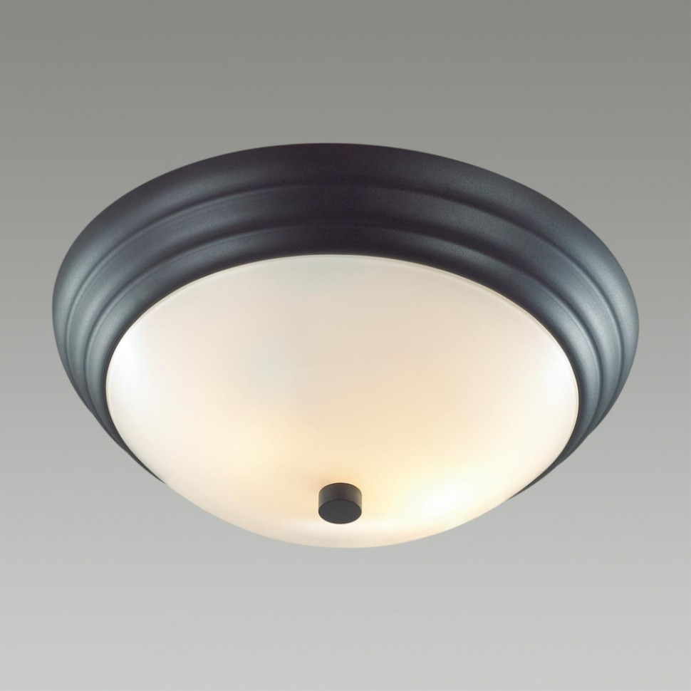 Настенно-потолочный светильник Lumion Kayla с лампочками 5263/2C+Lamps E27 P45, цвет черный 5263/2C+Lamps E27 P45 - фото 4