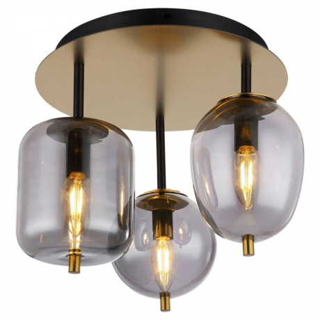 Потолочная люстра Lussole LOFT LSP-8730 