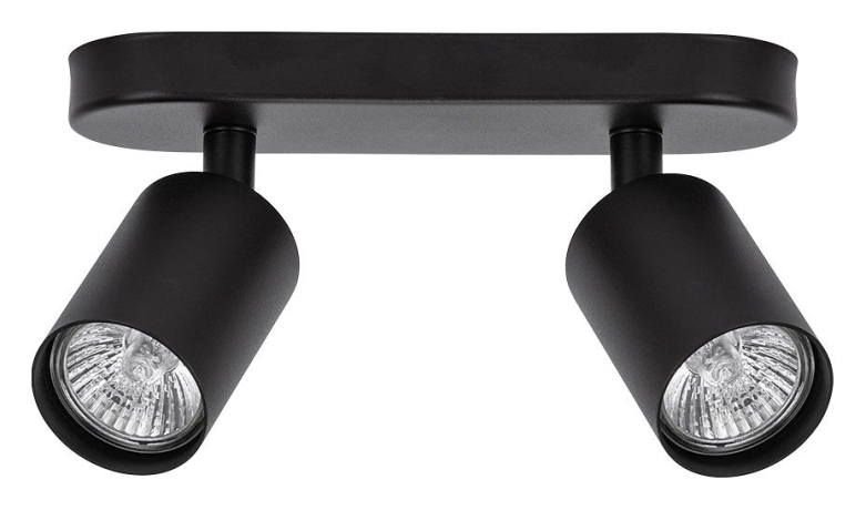 Спот Arte Lamp Aquarius A3226PL-2BK 