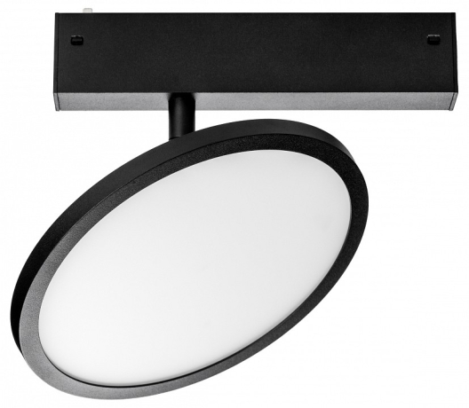 Светильник на штанге Lightstar Teta 205707 