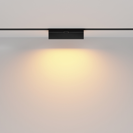 Накладной светильник Maytoni Technical Basis Rot TR036-2-12W2.7K-B 