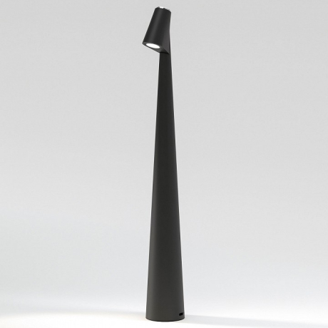 Настольная лампа декоративная Elektrostandard Elite Elite черный (TL70250) 