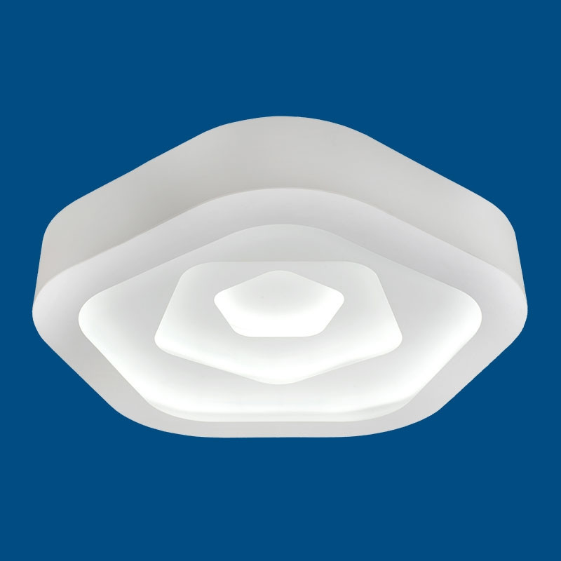 Потолочный светодиодный светильник с пультом Fametto Nimfea DLC-N504 62W IRON/WHITE, цвет белый DLC-N504 62W IRON/WHITE - фото 4
