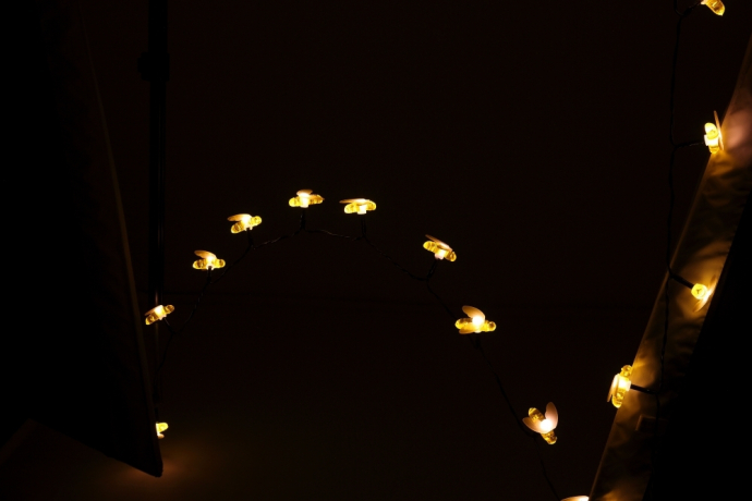 Садовая гирлянда Пчелки на солнечной батарее, 5,8 м Эра -03 (228528)