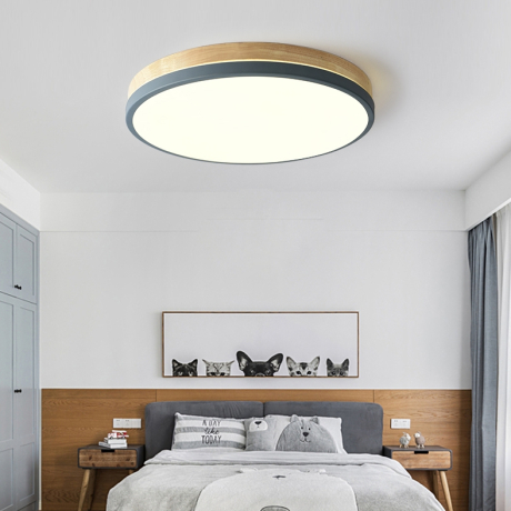 Накладной светильник Imperiumloft  Disc-Dh01 