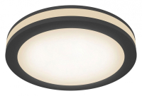 Накладной светильник Maytoni Technical Phanton DL303-L12B4K