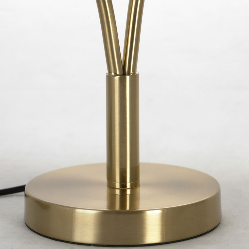 Настольная лампа Lussole Loft Cleburne LSP-0612, цвет бронзовый - фото 2