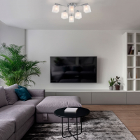 Потолочная люстра Eurosvet Ascot Delfi 30162/6 хром a047321