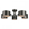 OML-54507-05 Потолочная люстра Omnilux Liserà 