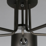 OML-54507-05 Потолочная люстра Omnilux Liserà 