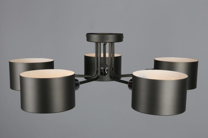 OML-54507-05 Потолочная люстра Omnilux Liserà 