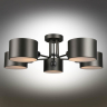 OML-54507-05 Потолочная люстра Omnilux Liserà 