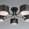 OML-54507-05 Потолочная люстра Omnilux Liserà 