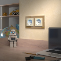 Розетка с заземлением с подсветкой, без рамки Werkel слоновая кость W1171403