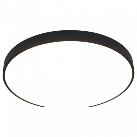 Накладной светильник Arte Lamp Arena A2673PL-1BK 