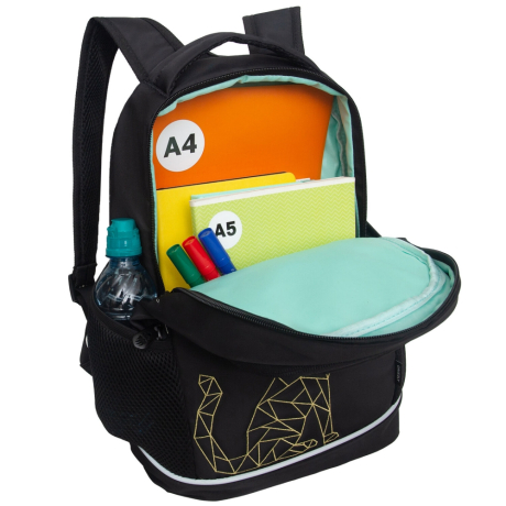 Нарушена упаковка!  <796751> Рюкзак GRIZZLY школьный, анатомическая спинка, 2 отделения, для девочек, "GOLD CAT", 38х28х18 см, RG-563-2/1 (274192)