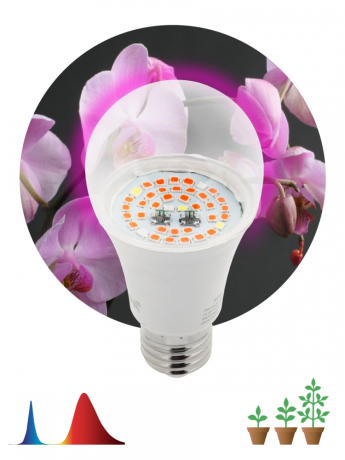 Фитолампа для растений светодиодная ЭРА FITO-14W-RB-E27 красно-синего спектра 14 Вт Е27 Б0050602