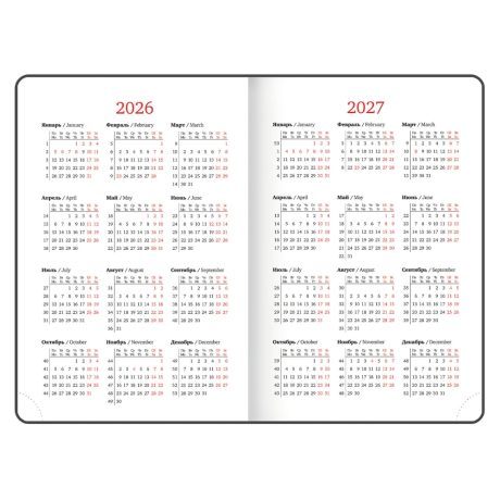 Нарушена упаковка! <795148> Ежедневник датированный 2026, А5, 150x213 мм, BRAUBERG "Up", под кожу, софт-тач, держатель для ручки, красный, 117120