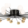 Потолочная люстра Freya Celebrity FR5242CL-24B 