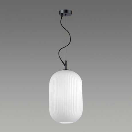 Нарушена упаковка!  <245258> Подвесной светильник Odeon Light Roofi 4752/1