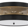 Накладной светильник Lumion Animaisa 8003/6C 