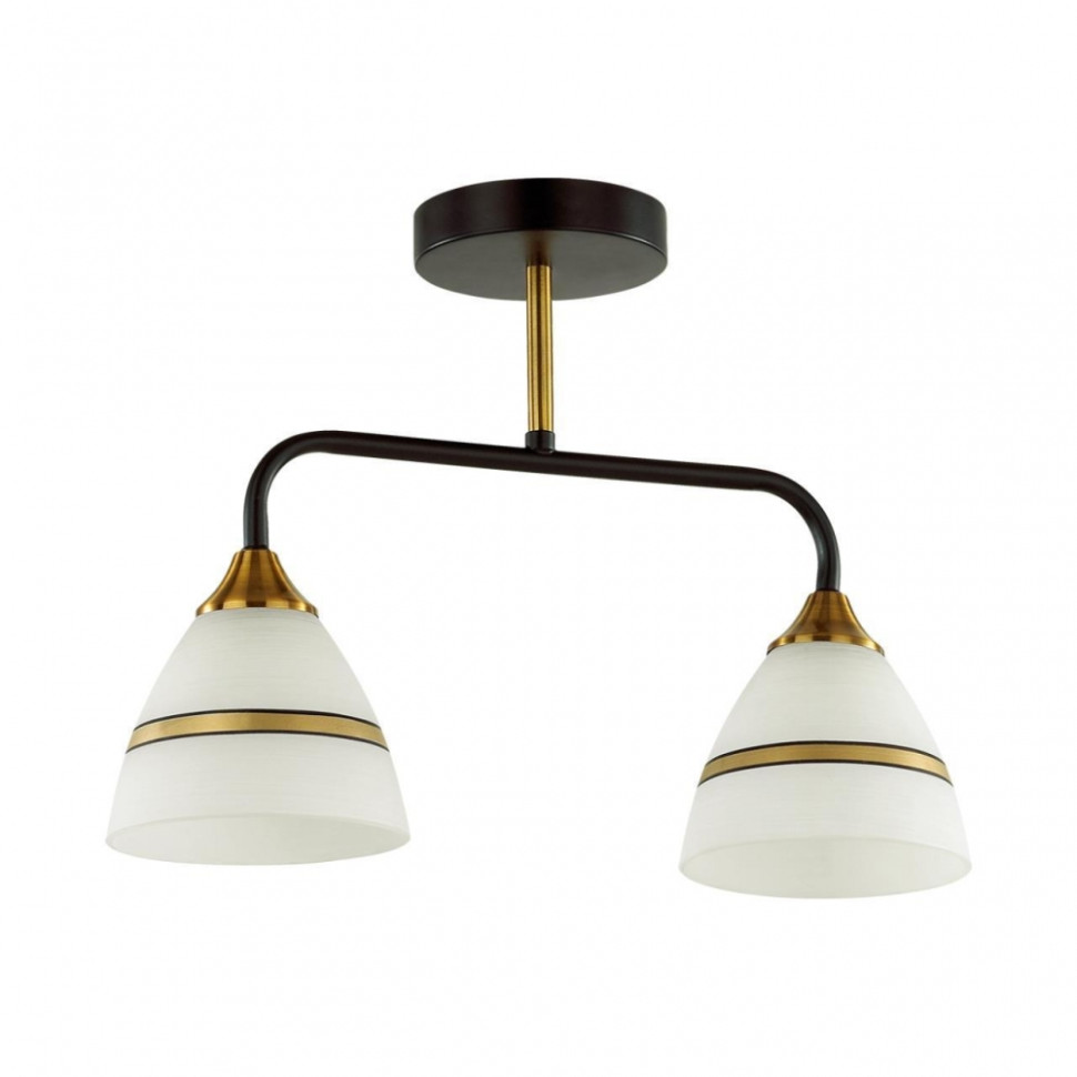 Потолочный светильник Lumion Nettie с лампочками 5214/2CA+Lamps E27 P45, цвет черный 5214/2CA+Lamps E27 P45 - фото 2