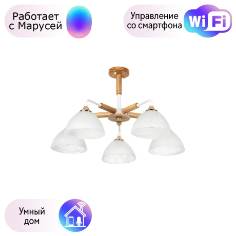 Потолочная люстра на штанге Matthew Arte Lamp с поддержкой Маруся A5032PL-5BR-М 