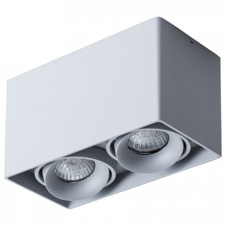 Накладной светильник Arte Lamp Pictor A5654PL-2GY 